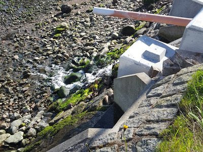 E1 - Nutrient concentrations in seawater