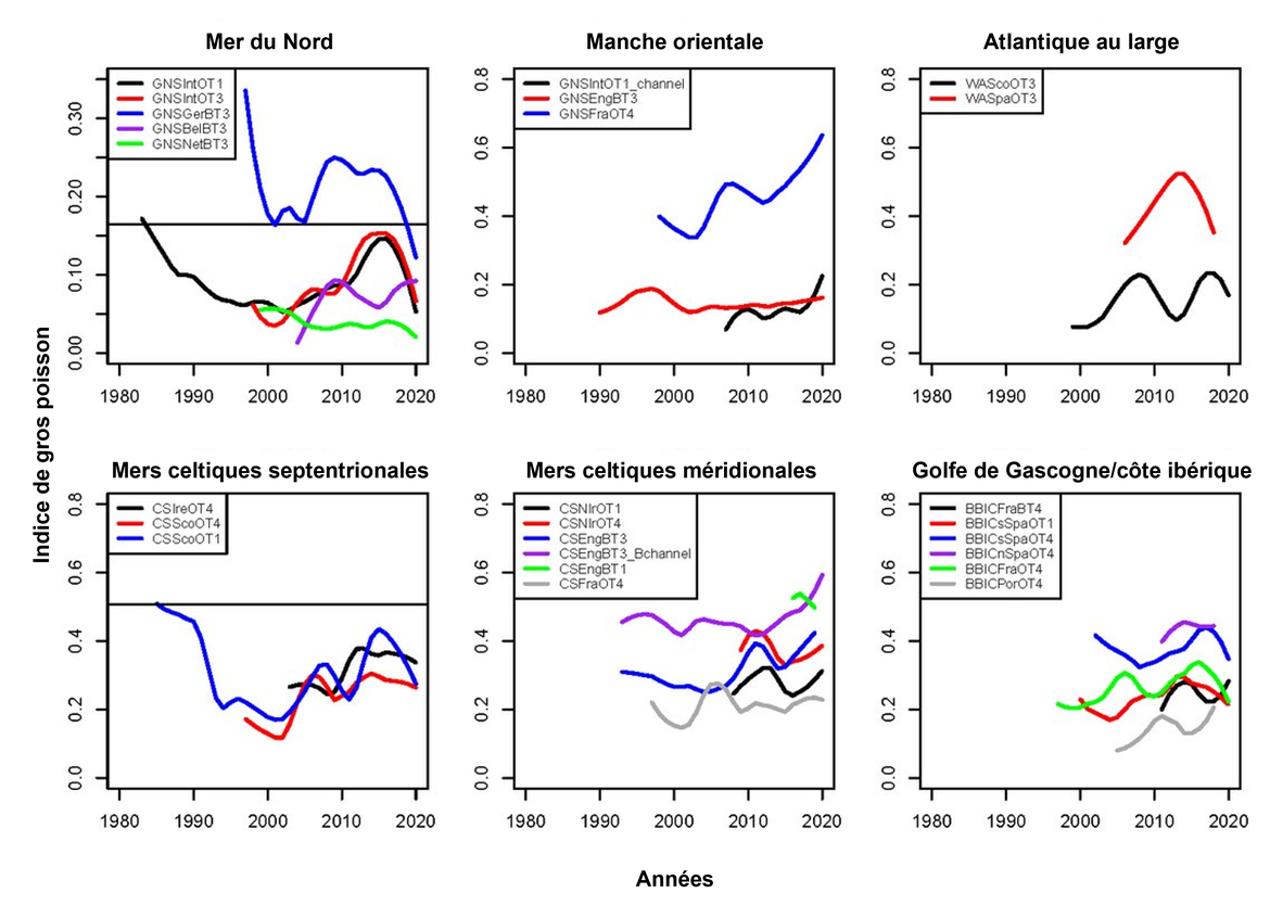 Figure 1 : Séries temporelles de l'indice de gros poisson par étude, montrant les modèles lissés par LOESS, où les enquêtes qui se chevauchent au sein des Régions sont regroupées. Les lignes noires horizontales sur les volets ‘mer du Nord’ et ‘mers celtiques septentrionales’ indiquent les valeurs seuils pour les études GNSIntOT1 et CSScoOT1 respectivement. Les axes y de ces graphiques ne sont pas directement comparables entre les études, les subdivisions et les Régions en raison des différents engins de pêche utilisés entre les enquêtes et des différences de couverture temporelle et spatiale des études.