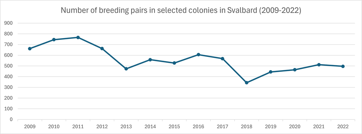 Figure 2: Number of breeding pairs counted in 31 selected ivory gull colonies in Svalbard between 2009 and 2022. Data: Norwegian Polar Institute (2023).