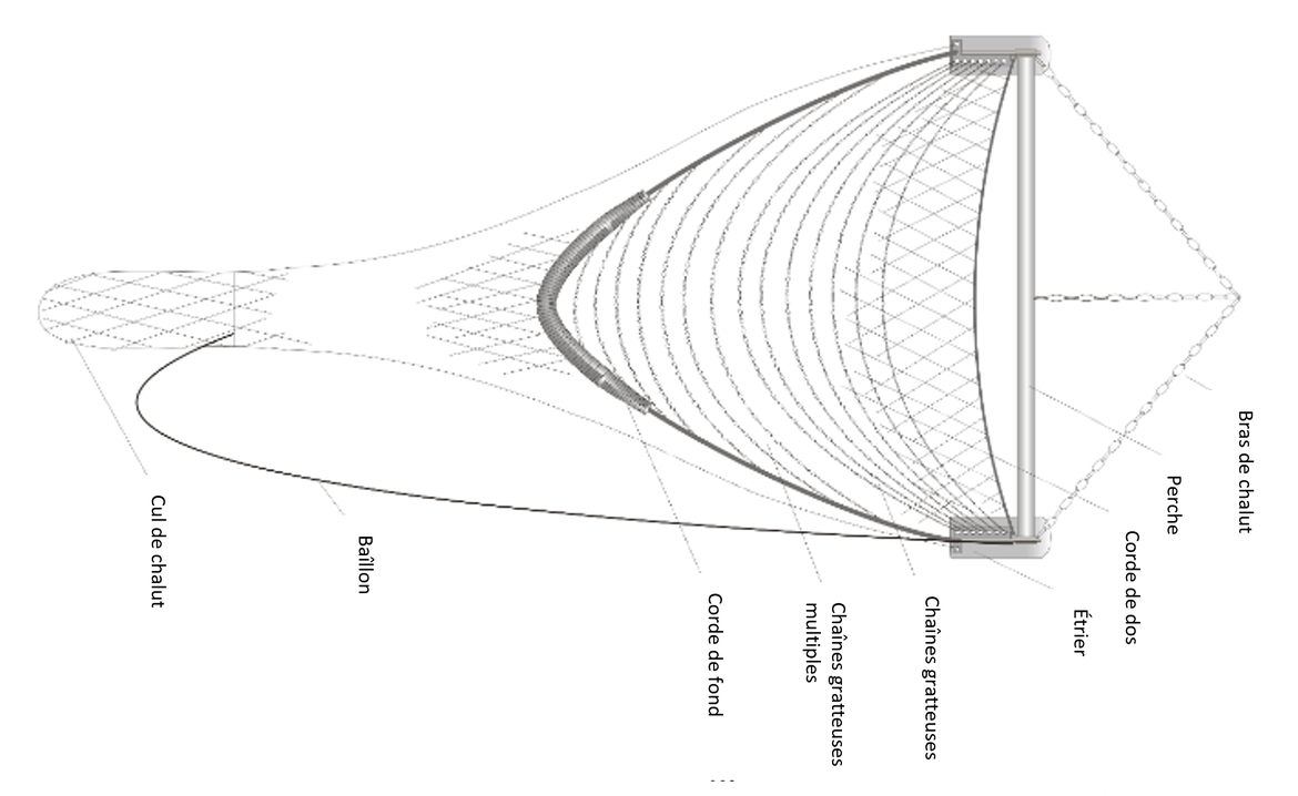 Figure b : Chalut à perche, filet en V avec chaîne gratteuse (ILVO (Belgique))