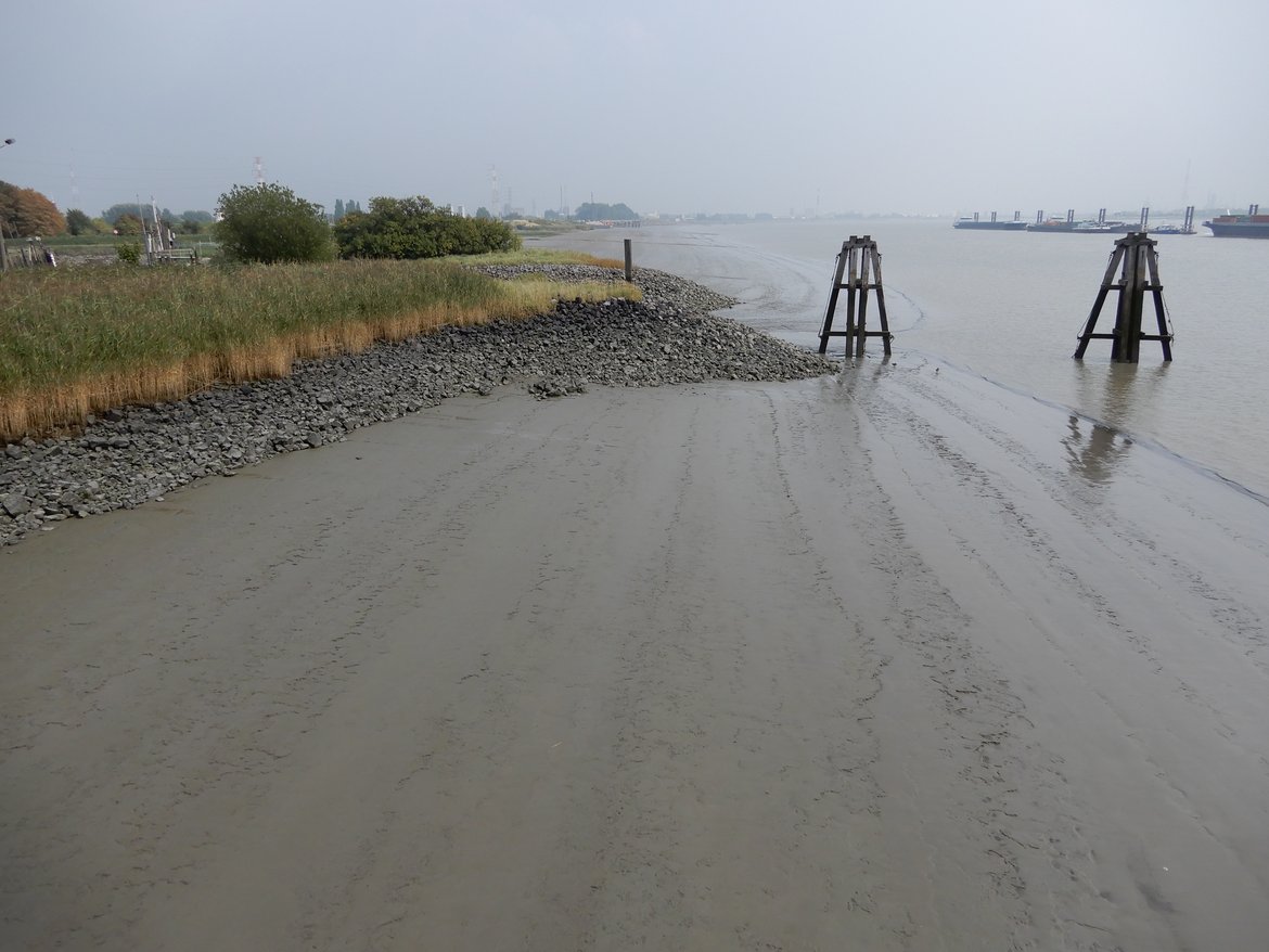 Figure 3.3.7: The river Scheldt near Antwerp, Lillo (Rudy Vannevel, 2018)