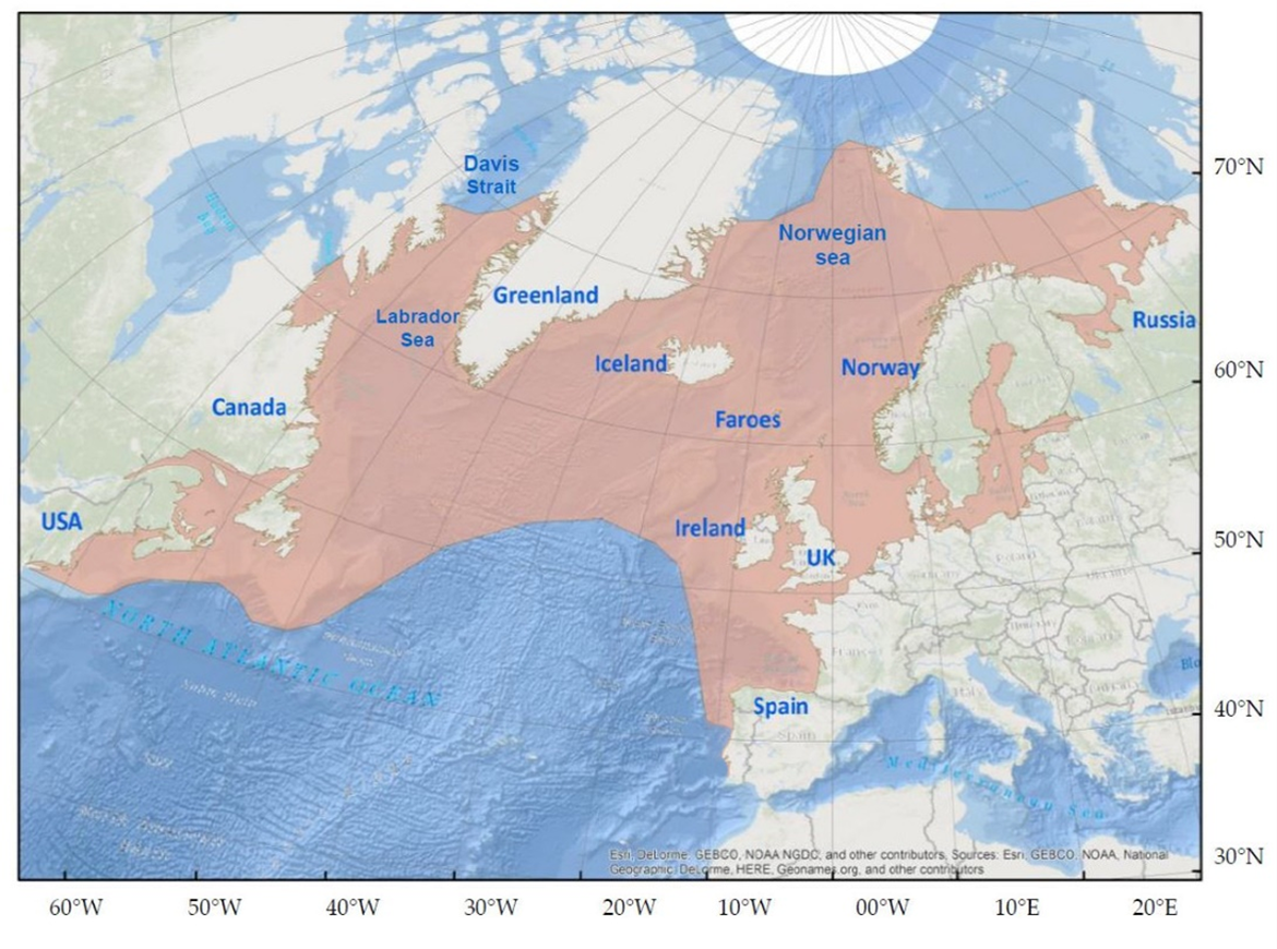Figure 1: The North Atlantic with the geographic distribution of Atlantic salmon indicated in light red (Maoiléidigh, 2018)