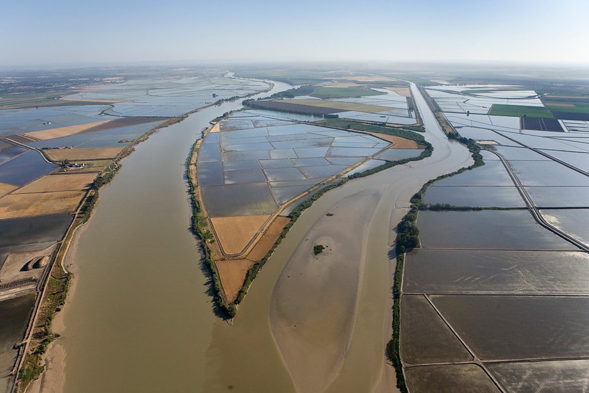 Figure 5.1.10: Irrigated crops and rice in the Guadalquivir marshes (Banco Audiovisual de la Junta de Andalucía CC BY-NC-ND 4.0)