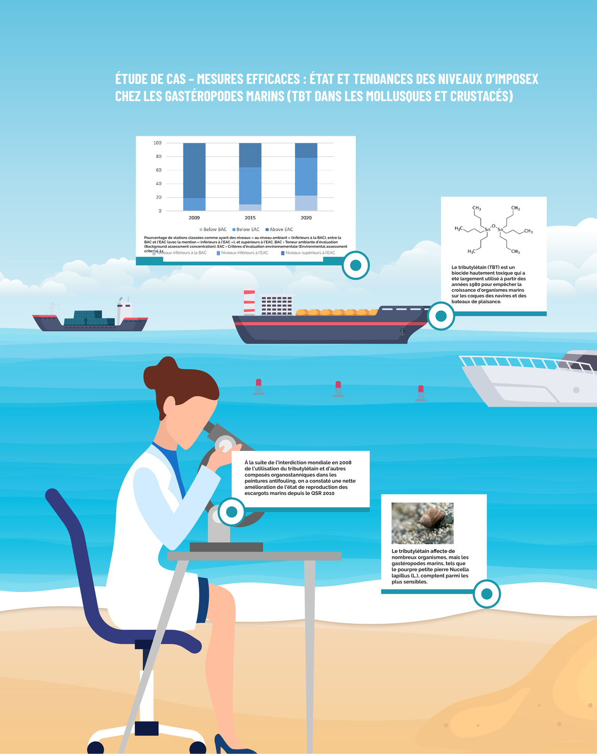 Figure 2.2 : Étude de cas – le TBT dans les gastéropodes marins