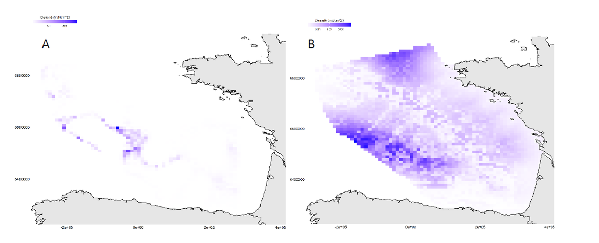 Figure 4: Number of leatherback turtles per km² in the Bay of Biscay in a) winter 2011 b) and summer 2012.
(Simian and Artero, 2018)