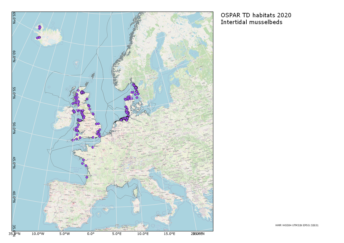 Figure 1: Distribution of Mytilus edulis beds (data OSPAR). (https://jncc.gov.uk/our-work/marine-habitat-data-product-ospar-threatened-andor-declining-habitats/) as submitted to OSPAR in 2020 (the maps is a combination of point data and polygons)