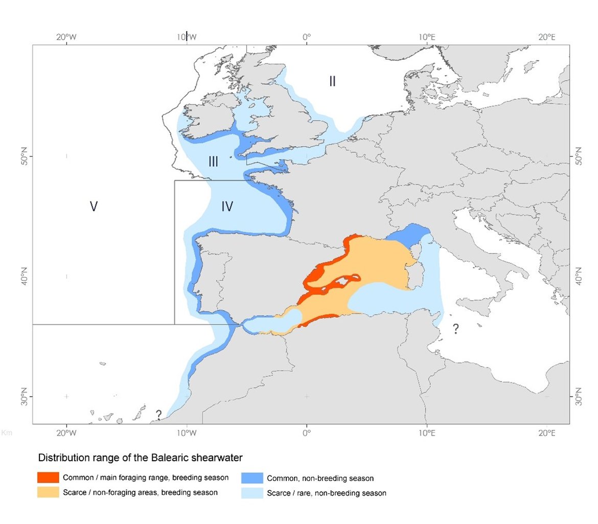 Figure 1: Balearic shearwater distribution range, including OSPAR area, combining several information sources