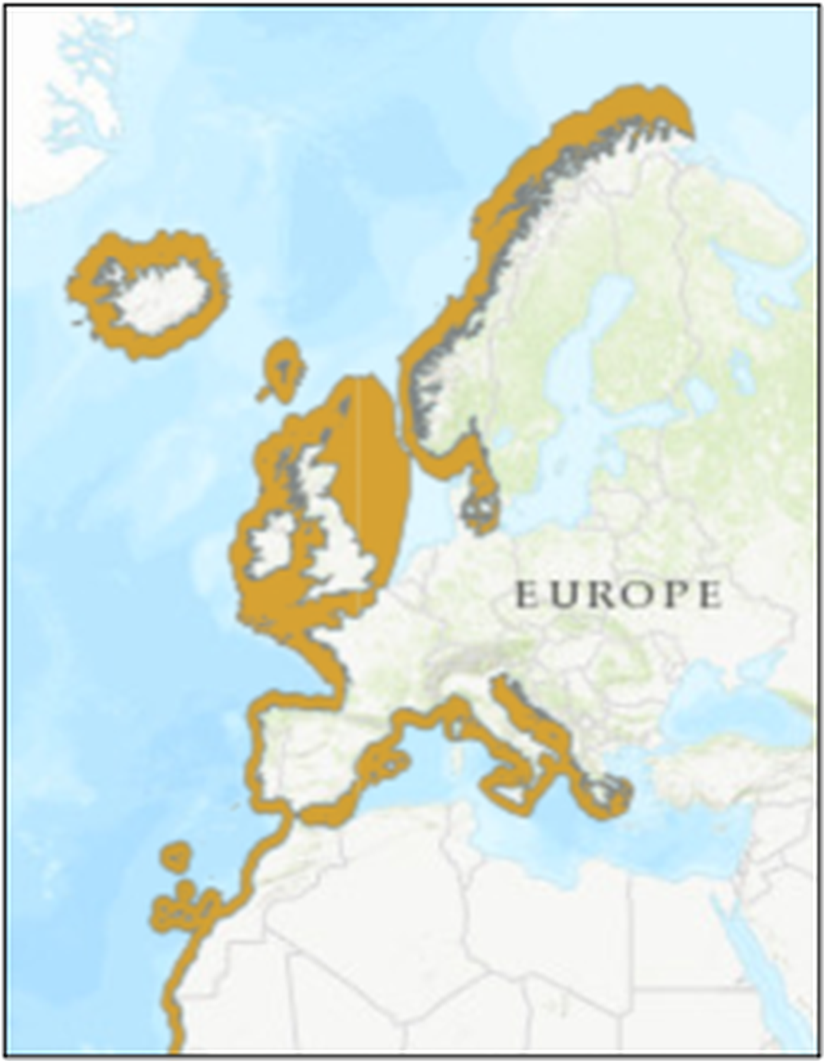 Figure 1: Geographic distribution map of common skate complex species. The distributions of the two species in the southern parts of the area shown, including the Mediterranean, are uncertain.  Source: https://www.iucnredlist.org/species/39397/10198950#geographic-range