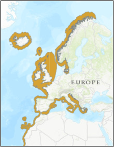 Figure 1: Geographic distribution map of common skate complex species. The distributions of the two species in the southern parts of the area shown, including the Mediterranean, are uncertain.  Source: https://www.iucnredlist.org/species/39397/10198950#geographic-range