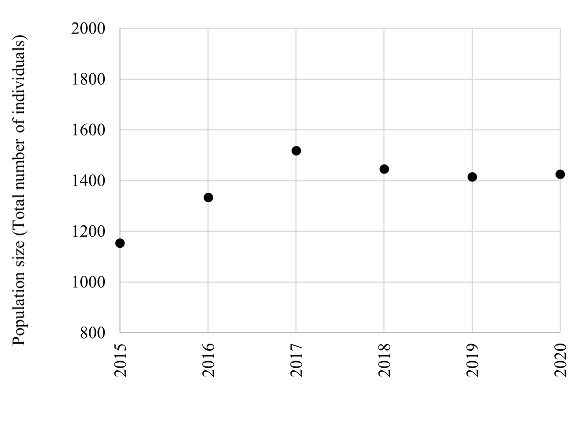 Figure 8: Population trends of BRGUs at the Alkefjellet colony in East Svalbard 2015 – 2020. The numbers represent the total number of individuals in study plots during the incubation period (unpublished data, Descamps, S., NPI).