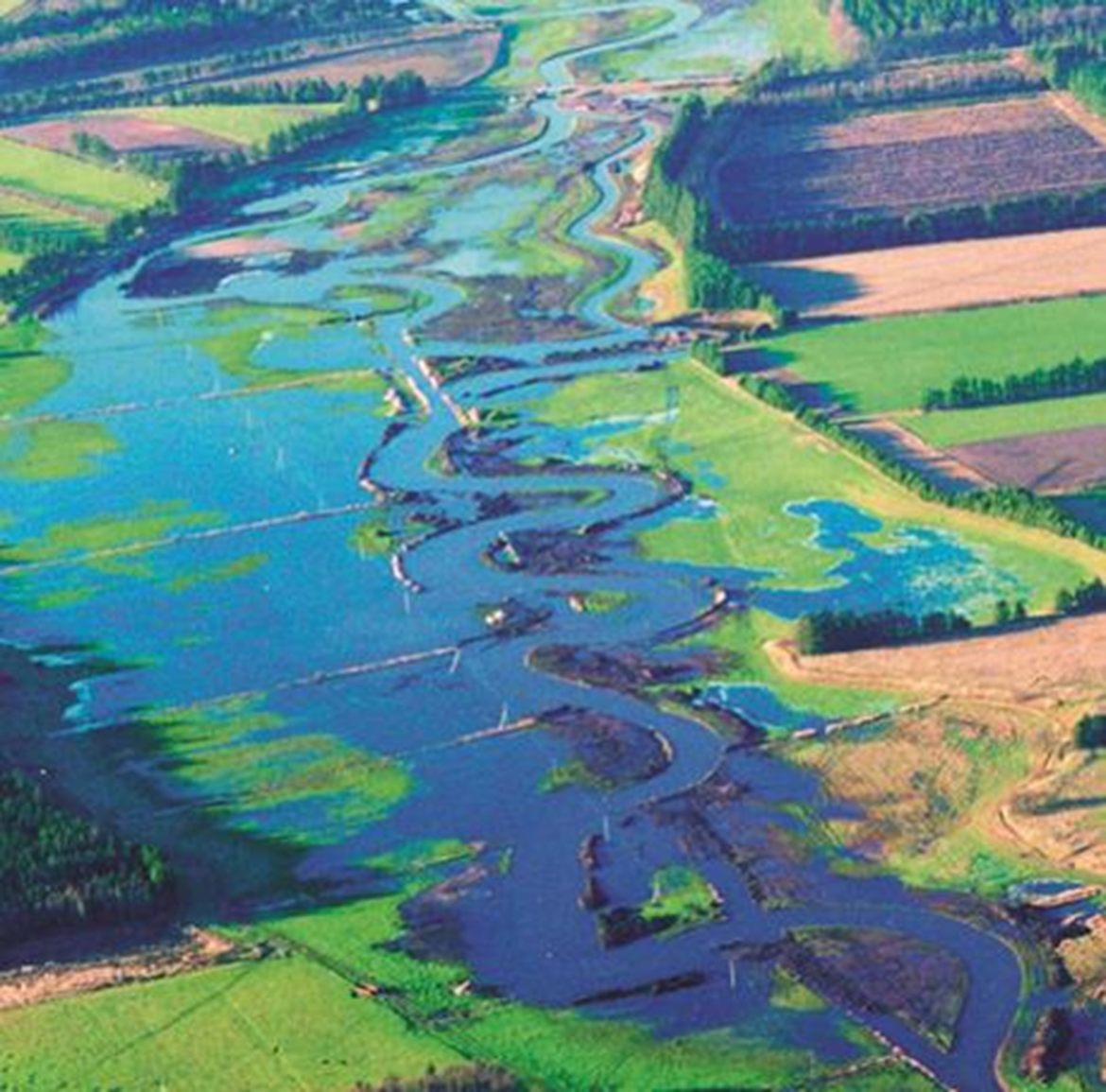 Figure 3.8.4: Flooding in parts of the Skjern River Valley (photo by Brian Kronvang)