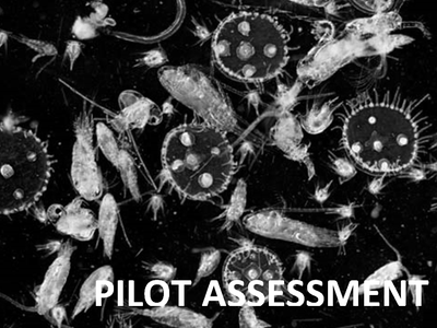 Pilot Assessment of Changes in Plankton Diversity  