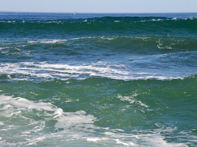 Coordinated Environmental Monitoring Programme