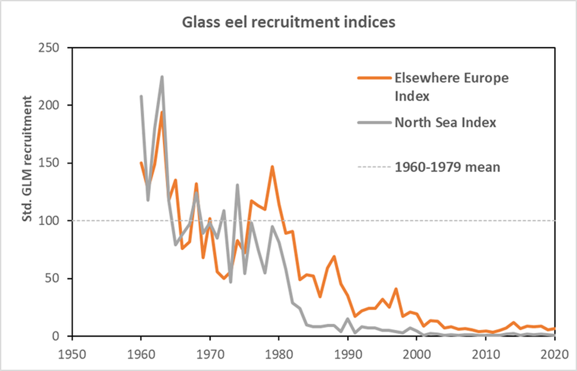 Figure 3: Indices, geometric mean of estimated (generalized linear model; GLM) glass eel recruitment for the continental “North Sea” and “Elsewhere Europe” series. The GLM was fitted to 52 time-series, comprising either pure glass eel or a mixture of glass + yellow eels (24 “North Sea” and 28 “Elsewhere Europe”). The predictions were scaled to the 1960 to 1979 average. Source: ICES (2020a).