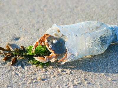 Production and Consumption of Plastics