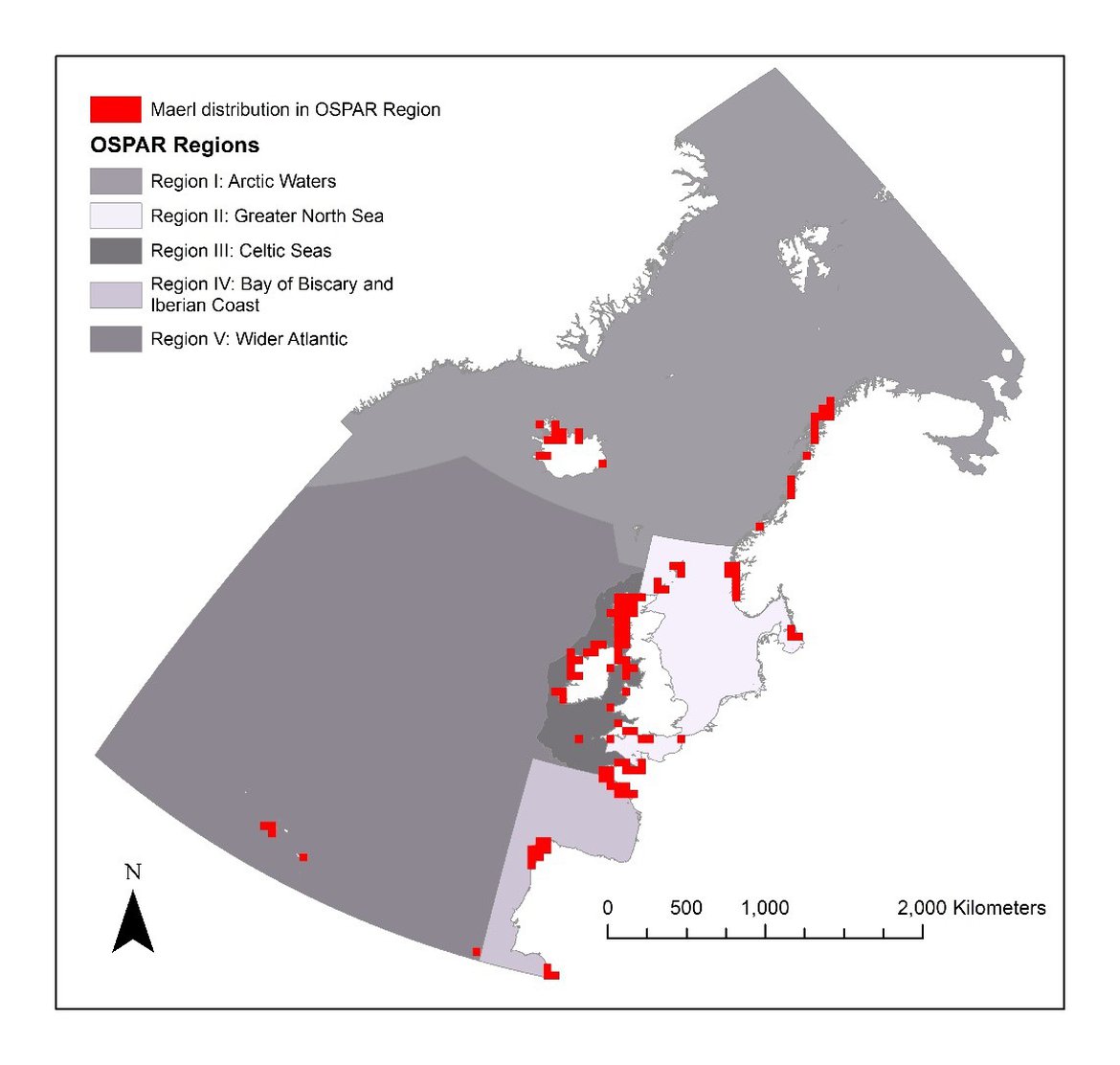 Figure 1 Distribution of 50 km squares containing maerl beds in the OSPAR maritime area, based on OSPAR T&D database (2018) and Article 17 data on Lithothamnium corallioides and Phymatolithon calcareum distribution from Spain.