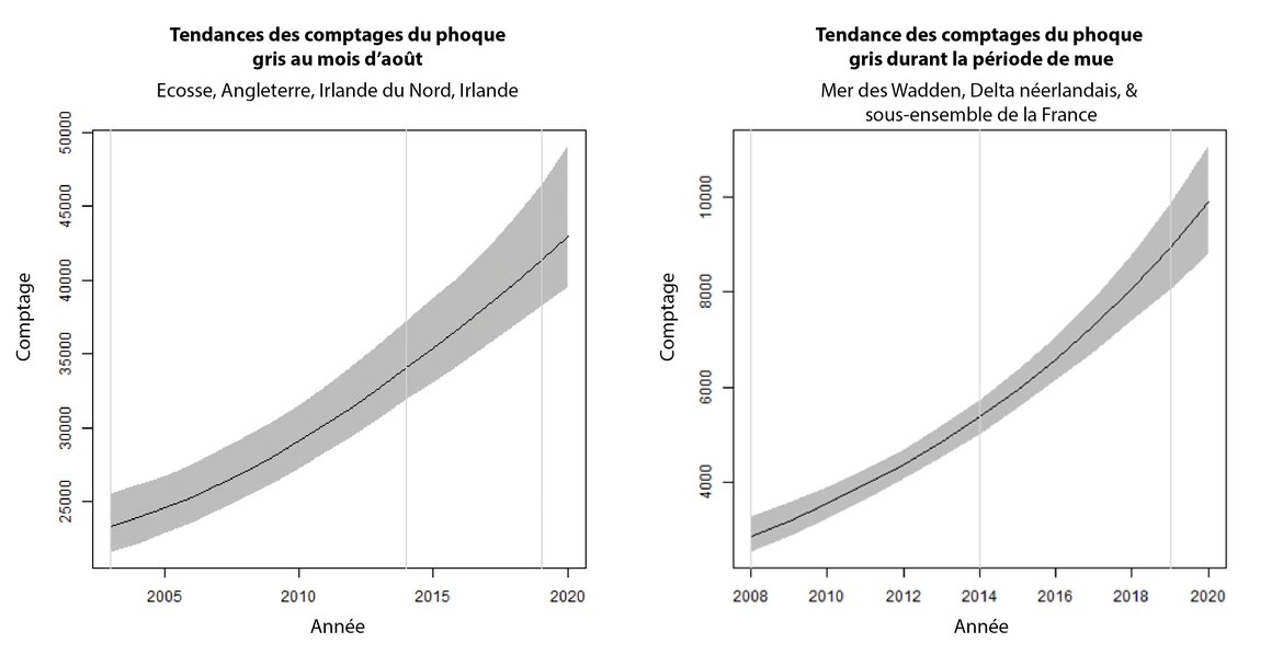 Figure 3 :  Tendances à long terme et à court terme de l’abondance du phoque gris, déterminées à partir a) des données de comptage sur les reposoirs en août et b) des données de comptage durant la période de mue au printemps