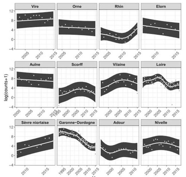 Figure 6: Predicted trends in fish counts from 12 monitoring stations in France. Y axis are log-abundance of estimated populations. Adapted from Legrand et al.(2020).