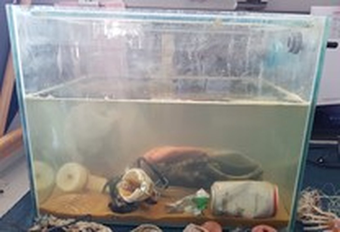 Figure 2: Display tank showing collected seafloor litter