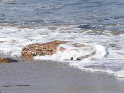 Introduction to the Intermediate Assessment 2017