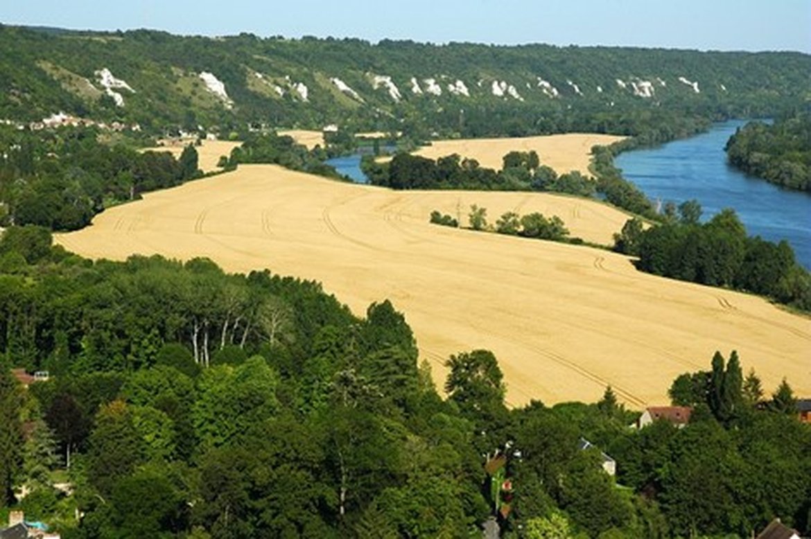 Figure 3.2.8: A wheat field near the Seine (Roche-Guyon). Olivier Brosseau / Terra