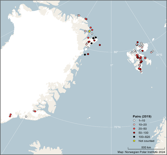 Figure 1: Location and size of occupied ivory gull colonies in Greenland and Svalbard based on an aerial survey carried out in 2019. Data from Greenland Seabird Colony Database, maintained by the Danish Centre for Environment and Energy, Aarhus University, and Greenland Institute of Natural Resources, Norwegian seabird monitoring program SEAPOP (www.seapop.no), MOSJ (Environmental Monitoring of Svalbard and Jan Mayen (www.mosj.no) and the Norwegian Polar Institute seabird databases.