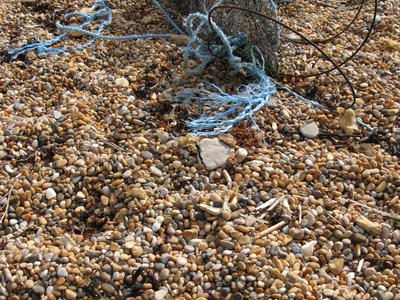 BE1 - Marine litter on beaches