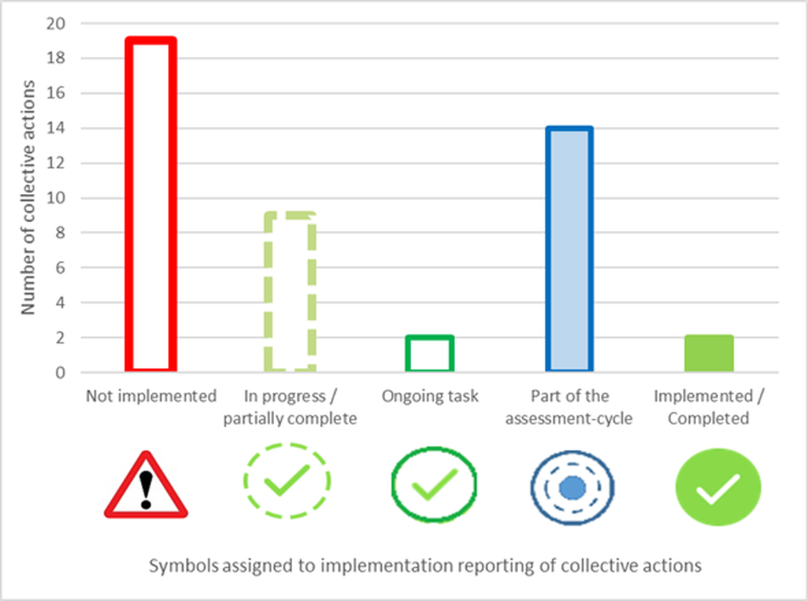 Figure 1: Graphical depiction of the Summary of implementation reporting on collective actions