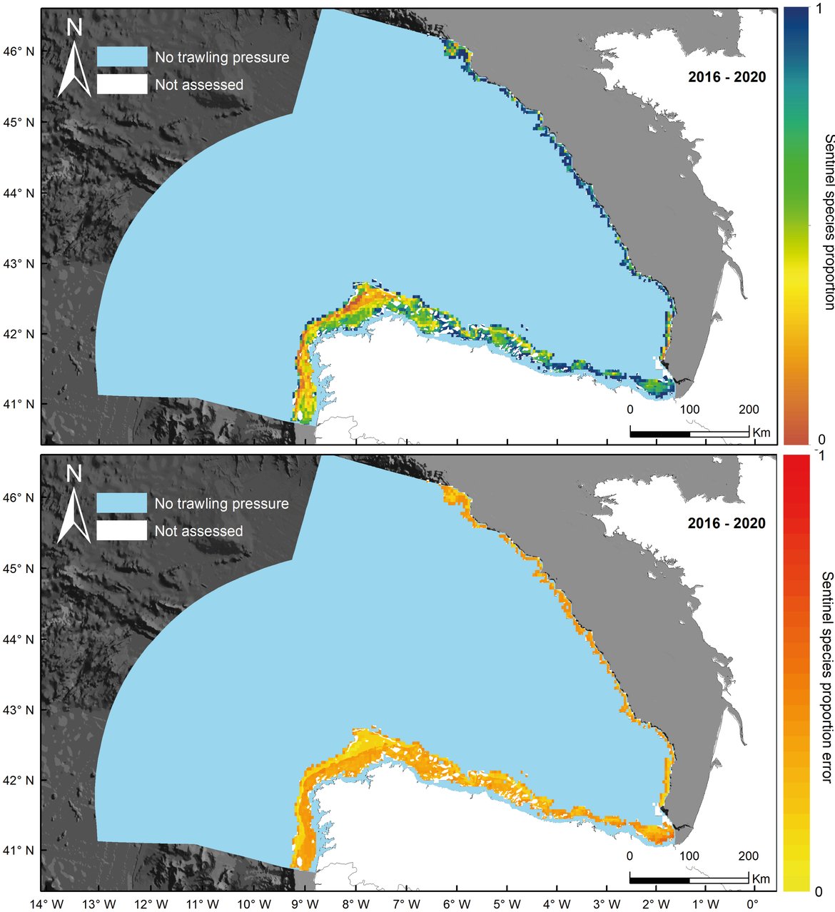 Figure u: North Iberian Atlantic. Overall Common Indicator Assessment area. Top: Prediction of sentinel species based on the mean SAR value from 2016 to 2020. Bottom: Standard error associated with the prediction of sentinel species proportion from 2016 to 2020