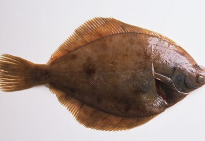 H9 - Polychlorinated dibenzodioxins and furans in sediment and biota