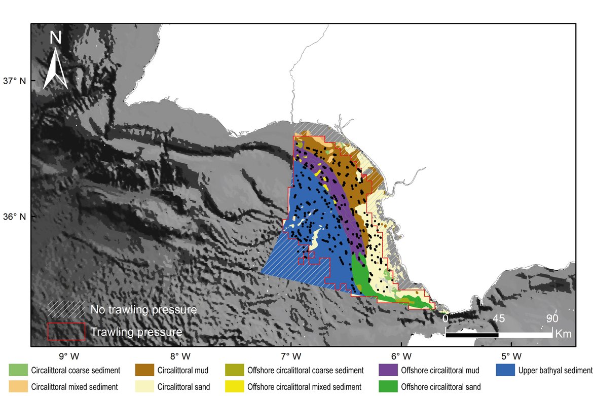 Figure h: The extent and distribution of the nine BBHTs assessed and the location of the hauls used in the Gulf of Cadiz assessment unit. The grey-hatched area corresponds to areas where there was no trawling effort. The area highlighted in red reflects the area where there was bottom-trawling effort (trawling footprint)