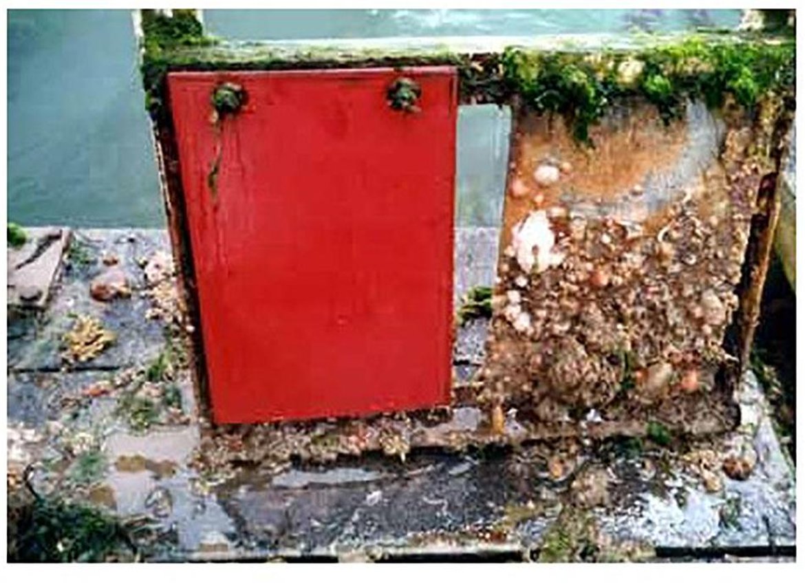 Figure a: TBT has been used as an antifoulant in paint on ship hulls (image from Parmentier et al., 2019)
