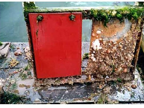 Status and Trends of Organotin in Sediments in the Southern North Sea
