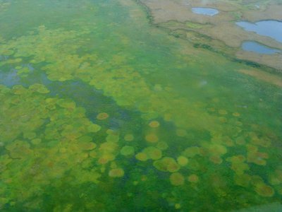 Eutrophication is still a problem in some areas