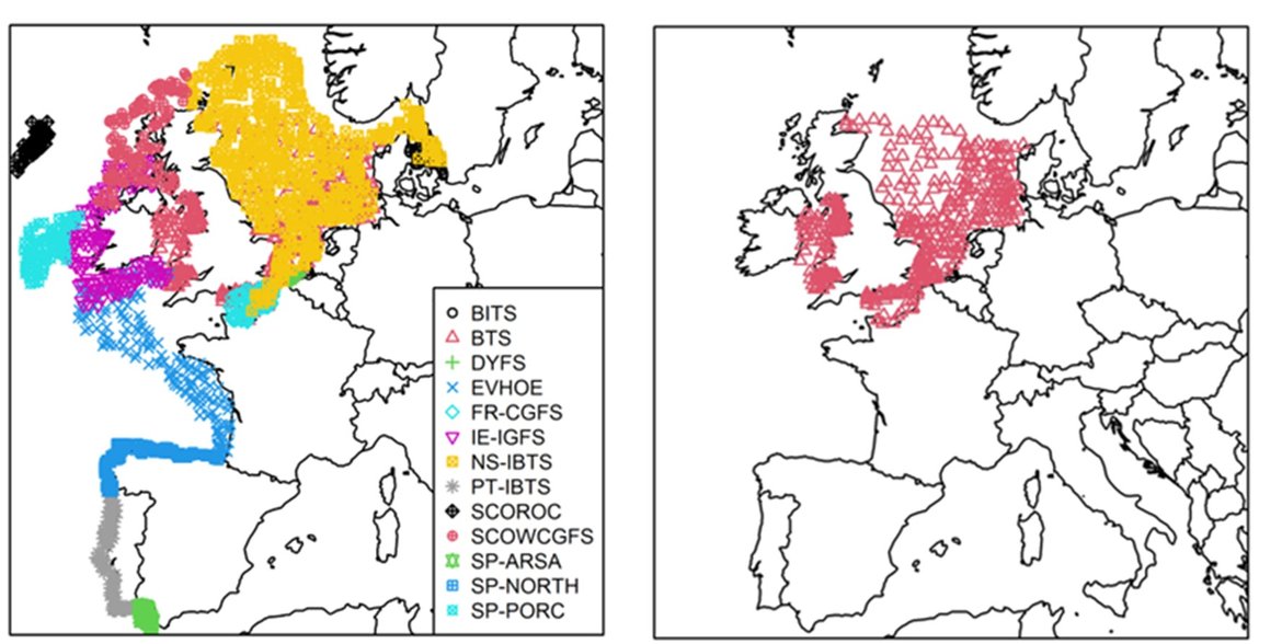 Figure c: Locations of surveys in 2018 (2016 for PT-IBTS survey). BTS surveys in 2018 are shown to the right.