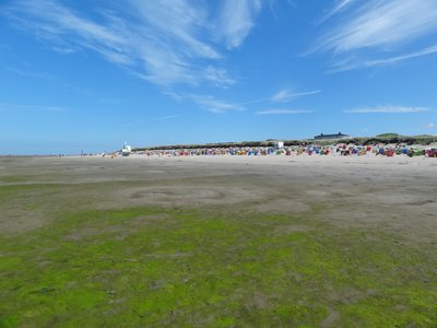 Theme E - Eutrophication