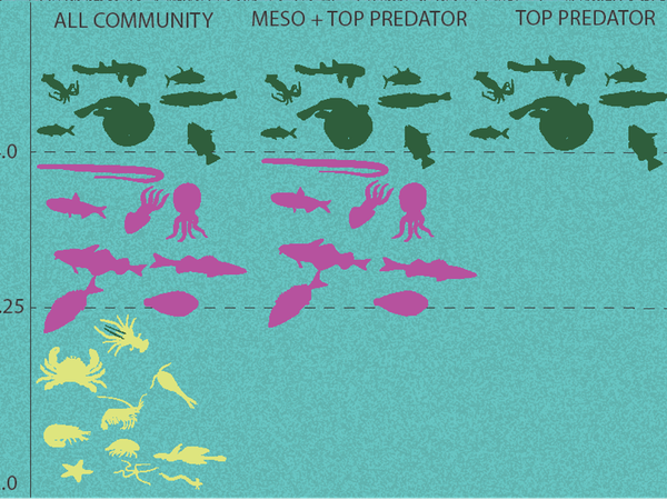 Changes in Average Trophic Level of Marine Consumers