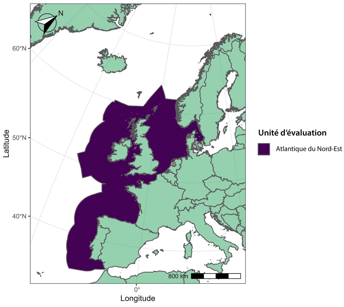 Figure c : Unités d’évaluation pour les dauphins communs.
