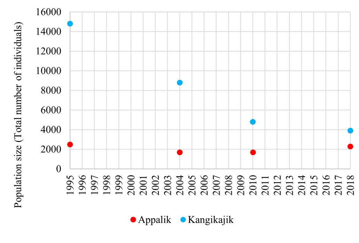 Figure 6: Population trends of BRGUs in East Greenland colonies (Appalik and Kangikajiik) 1995 – 2018. Population estimates for 1995, 2004, and 2010 were provided by Merkel, F. and reported as the number of individuals. For 2018, the number of breeding pairs was reported in Boertmann et al. (2020) and was converted into the number of individuals for comparison using a converting factor of 0.7 (number of pairs = 0.7 * number of individuals). The counts have not been adjusted for the potential diurnal variation in colony attendance and direct comparison of these counts should be done with caution (Merkel, F., personal communication)
