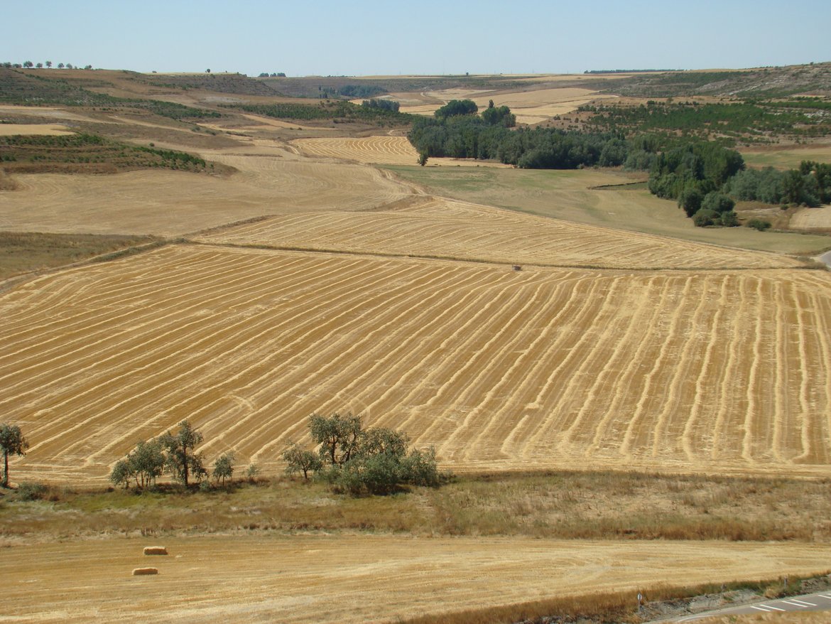 Figure 5.4.7: Agriculture and shrubs  in Castilla y León  (Nicolás Pérez, CC BY-SA 3.0)