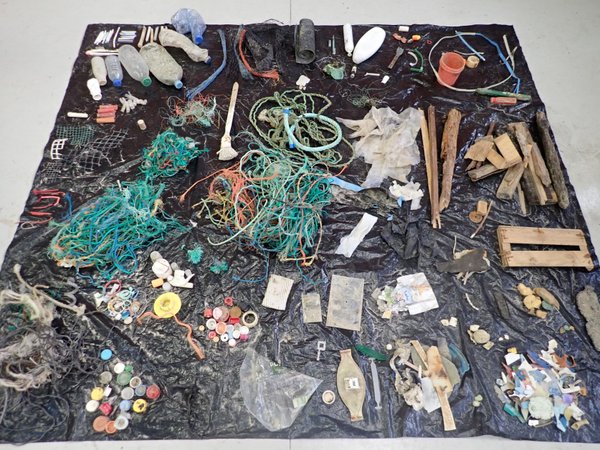Abundance, Composition and Trends of Beach Litter