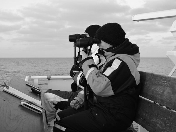 Pilot Assessment of Marine Bird Abundance - Non-Breeding Offshore Birds