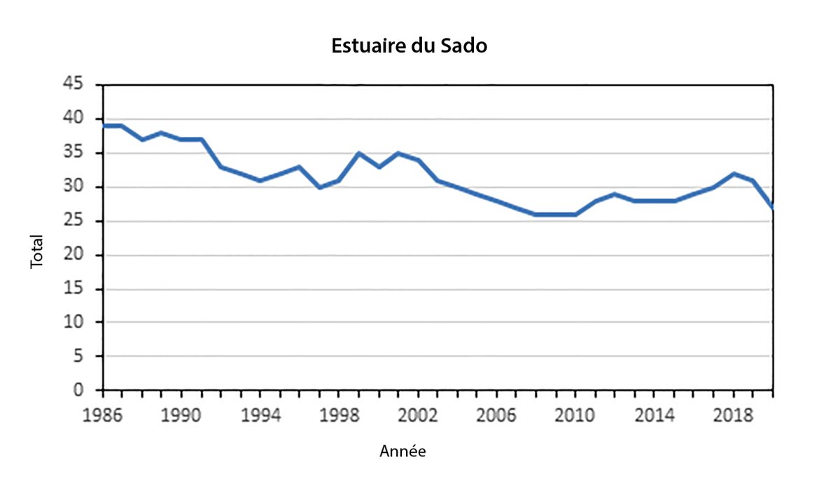 Figure q : Estimations de l’abondance des grands dauphins (nombre d’individus) dans l’estuaire du Sado.