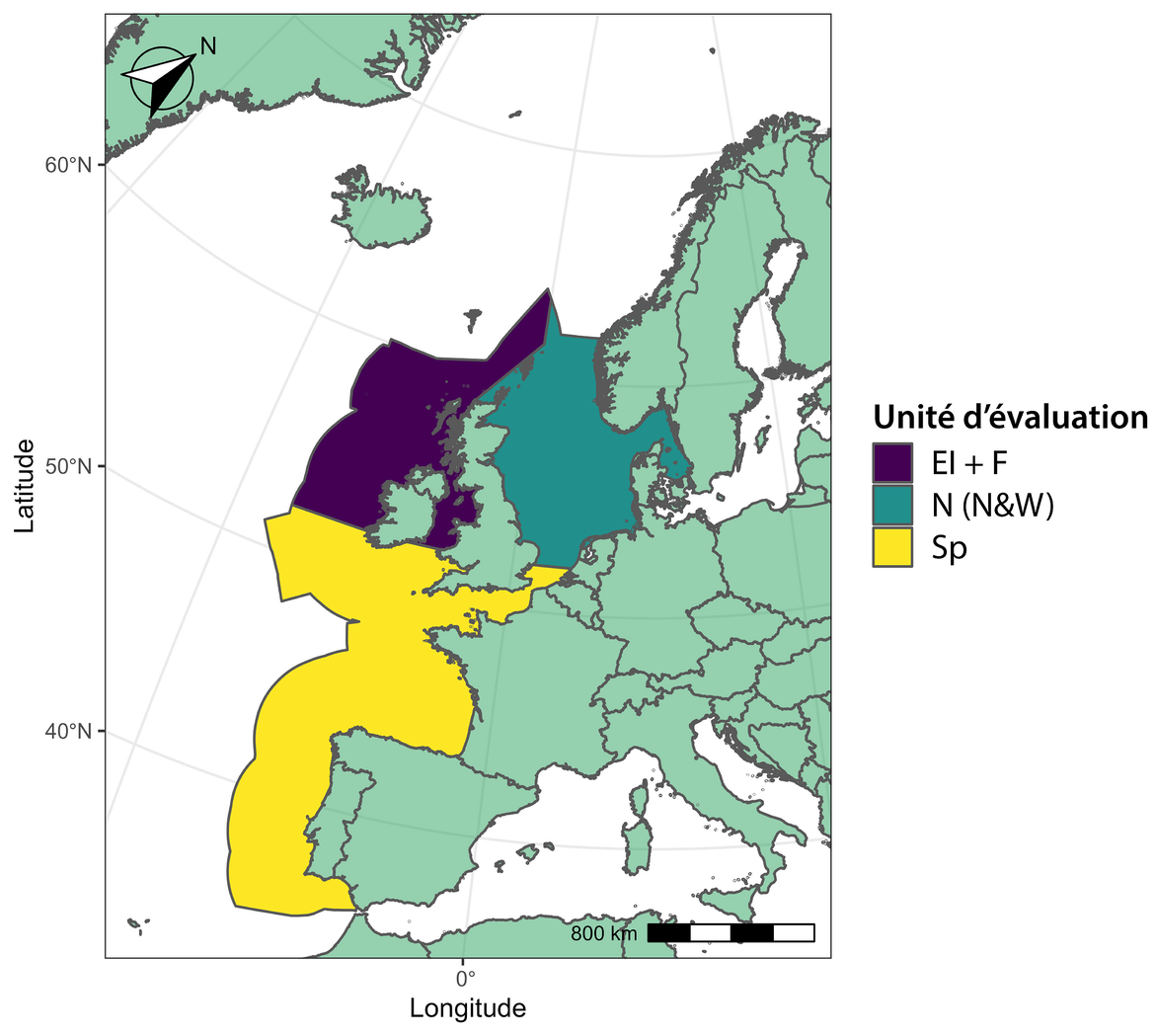 Figure h : Unités d’évaluation pour le rorqual commun.