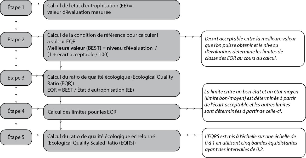 Figure c : Calcul du ratio de qualité écologique échelonné (EQRS) pour la valeur d’évaluation finale