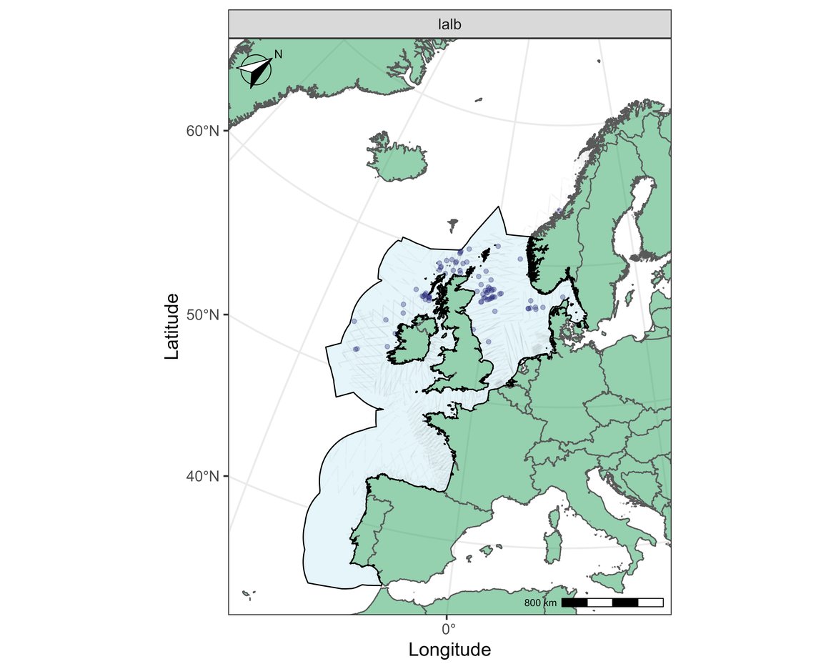 Figure n: Sightings of white-beaked dolphin in 2016.