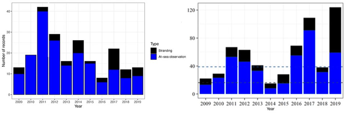 Figure 3: Annual records of leatherback turtles in (a) UK and Irish (TURTLE database; n=216) and (b) French (CESTM database; n=605) waters between 2009-2019. The blue and black dotted lines represent the average numbers of stranding and opportunistic at-sea observations.