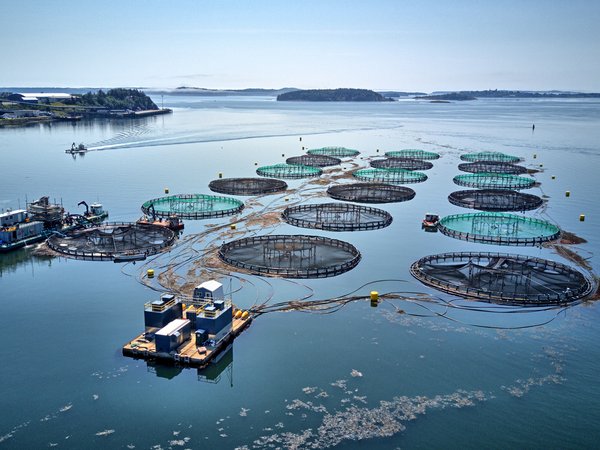 Inputs of Nutrients to the OSPAR Maritime Area