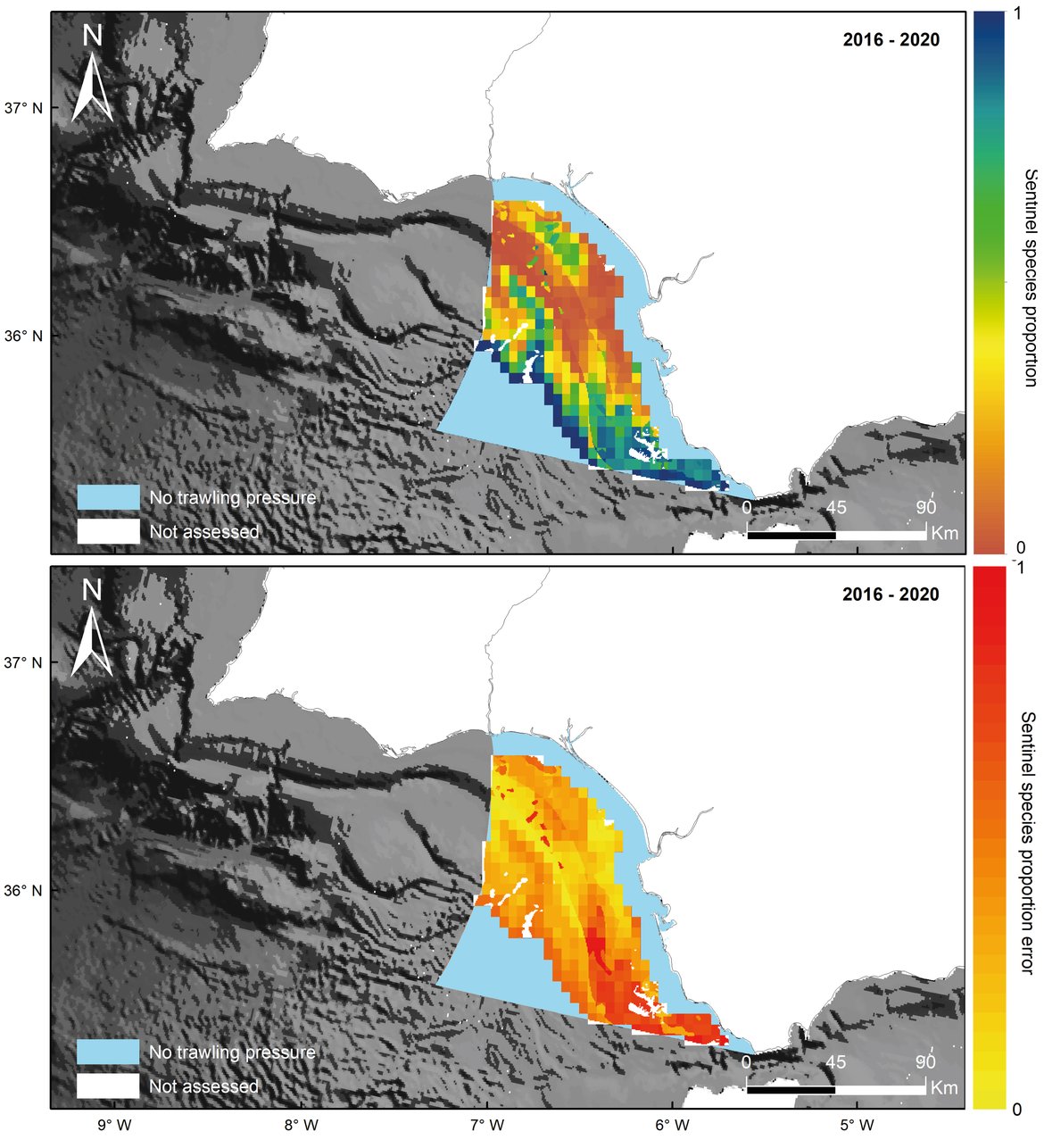 Figure y: Gulf of Cadiz. Overall Common Indicator Assessment area. Top: Prediction of sentinel species based on the mean SAR value from 2016 to 2020. Bottom: Standard error associated with the prediction of sentinel species proportion from 2016 to 2020
