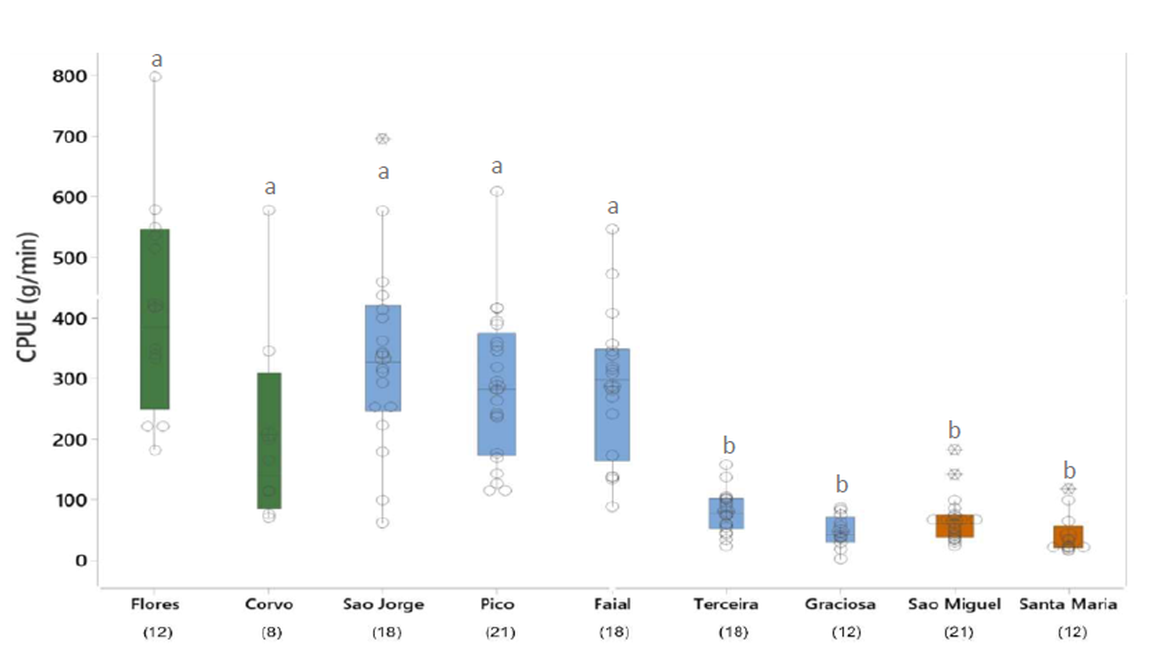 Figure 3: Variation in CPUE by island. The graph displays a summary of the distribution of the dataset within each island; the colored box represents the interquartile range with 50% of the mean values, and the line through the box represents the median. Letters (a) and (b) represent significant differences between two groups of islands (group a: Flores, Corvo, São Jorge, Pico, Faial and group b: Terceira, Graciosa, São Miguel e Santa Maria). Outliers are represented by the symbol *. The numbers in parentheses below the legend represent the number of dives performed on each Island (source: Gomes et al. 2023). Figure 3: Variation in CPUE by island. The graph displays a summary of the distribution of the dataset within each island; the colored box represents the interquartile range with 50% of the mean values, and the line through the box represents the median. Letters (a) and (b) represent significant differences between two groups of islands (group a: Flores, Corvo, São Jorge, Pico, Faial and group b: Terceira, Graciosa, São Miguel e Santa Maria). Outliers are represented by the symbol *. The numbers in parentheses below the legend represent the number of dives performed on each Island (source: Gomes et al. 2023).